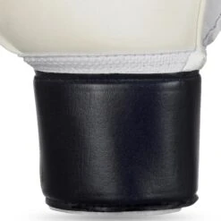 SELECT Goalkeeper Gloves - 04 Protection 9 SELECT Goalkeeper Gloves - 04 Protection -Pro Sport Verkauf 10484970 500075 blue white 04 Protection v24 gloves extra closeup