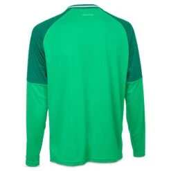 SELECT Monaco Goalkeeper Shirt 16 SELECT Monaco Goalkeeper Shirt -Pro Sport Verkauf 11383891 600101 600102 green green Goalkeeper Shirt Monaco v24 back