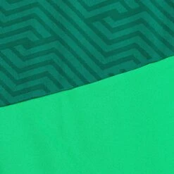 SELECT Monaco Goalkeeper Shirt 17 SELECT Monaco Goalkeeper Shirt -Pro Sport Verkauf 11383892 600101 600102 green green Goalkeeper Shirt Monaco v24 closeup